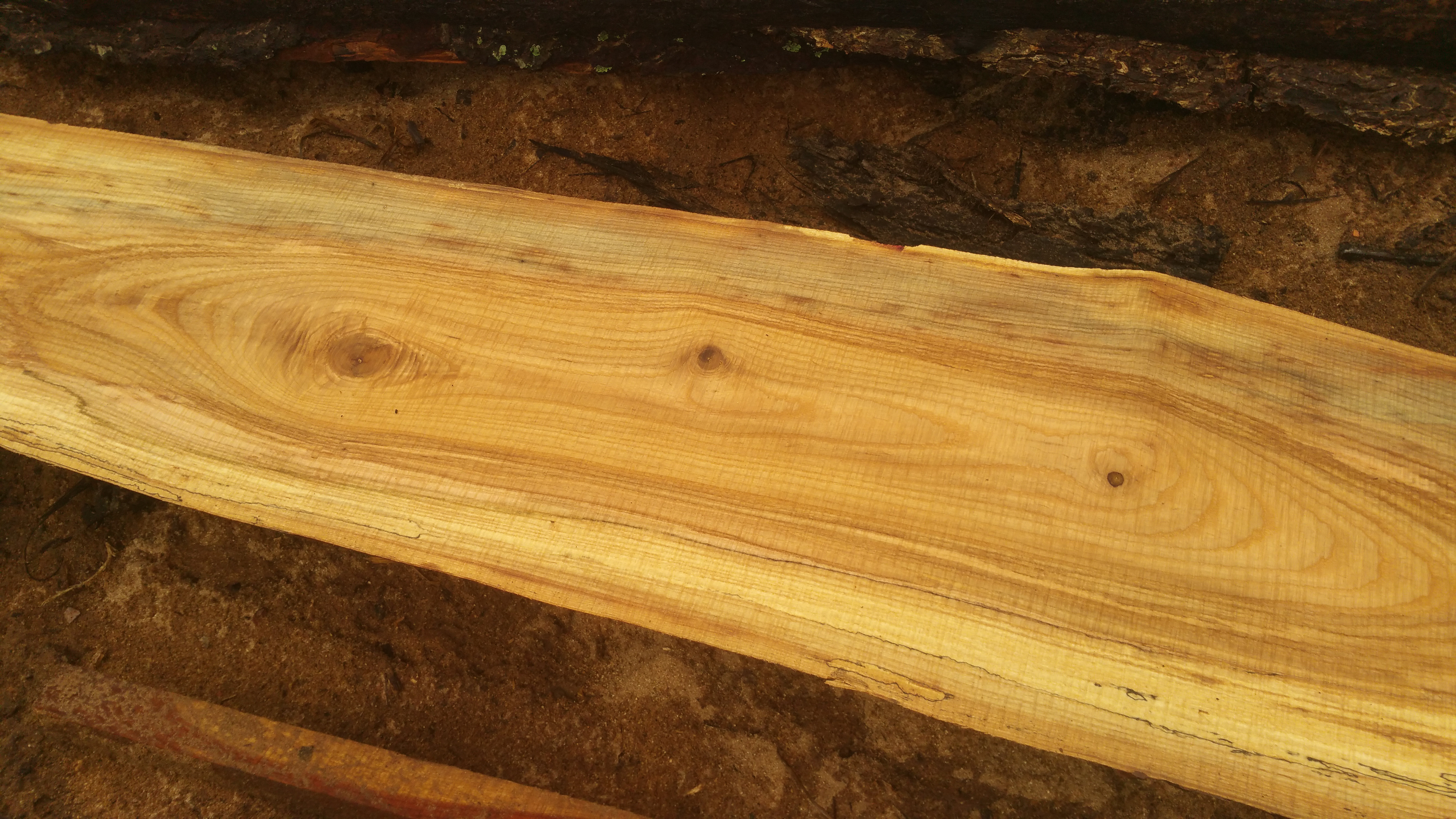 westland survival ash planks