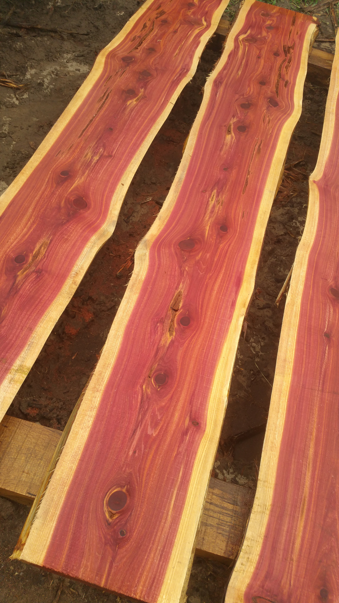 Eastern Cedar Edge Plank 2"x 12- 15 1/2"x 6"